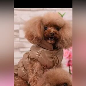 New brown Puffer Dog Jacket Size M | Cozy Sporty Winter Pet Coat |